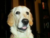 Фотография Панковой Ольги