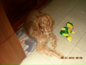 Игорь Горох фотография #30 (источник - https://vk.com/id6322143)