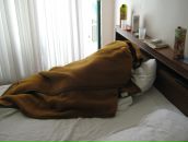 Александр Канаев фотография #17 (источник - https://vk.com/id1237014)