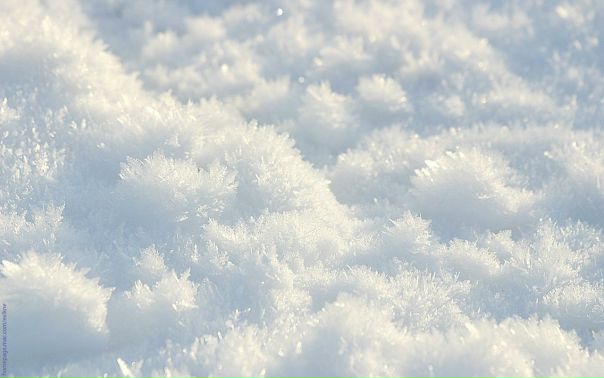 Snow'a Maks фото №11