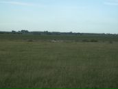 Віталій Борисюк фотография #18 (источник - https://vk.com/id11592275)