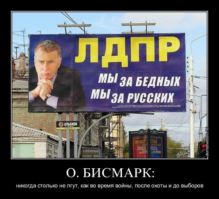 Тимур Салихов фотография #35
