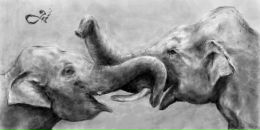 Фотография Дурасова Виктора