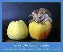 Фотография Николаевны Надежды