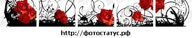 №1, Алеся Бор, Ставрополь №1, Алеся Бор, Ставрополь