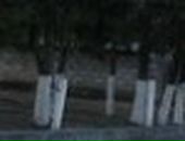 Віталій Пасіка фотография #49 (источник - https://vk.com/id60842317)