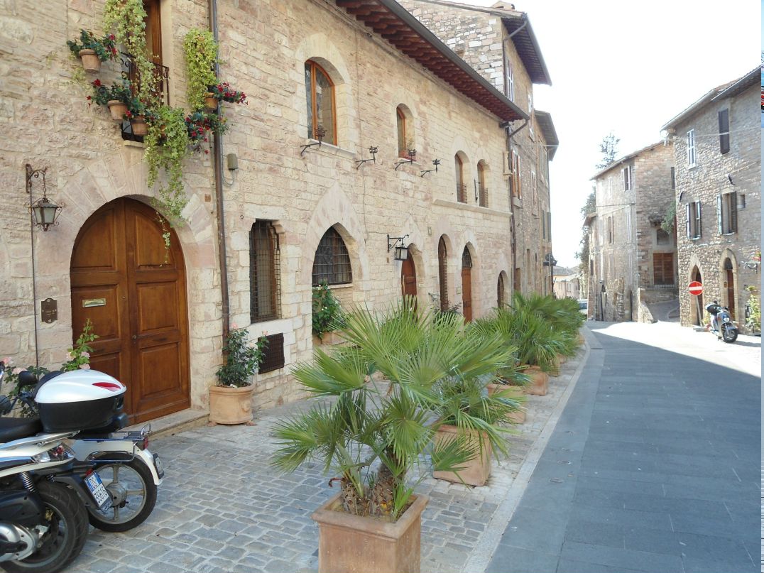 Dmitry Davidenko фотография #37