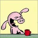 Фотография Челнокова Дмитрия