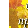 Віта Фіцак фотография #21 (источник - https://vk.com/id147692229)