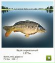 Олексій Стасів фотография #5 (источник - https://vk.com/id164843634)