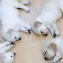 Міша-Іра Павлик фотография #19 (источник - https://vk.com/id42441609)