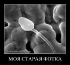 Фотография Муращенкова Александра