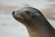 Фотография Аврутина Андрея