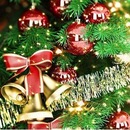 Сергій Дідик фотография #2 (источник - https://vk.com/id157728684)