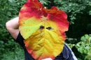 Фотография Сухачева Дениса