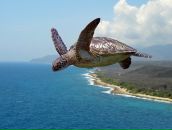 Фотография Андреевой Алены