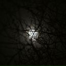 Фотография Auer Clemens