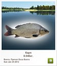 Тарас Гуржій фотография #32 (источник - https://vk.com/id156001958)