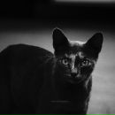 Фотография Поповой Анастасии