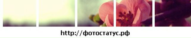 Марина Поліщук фотография #40 (источник - https://vk.com/id11496378)