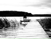 Фотография Будина Романа