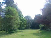 Міша Тригуб фотография #16 (источник - https://vk.com/id33896452)