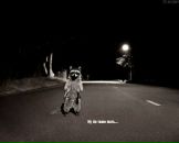 Фотография Нахимова Константина