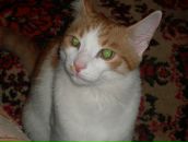 Фотография Щиголева Алексея