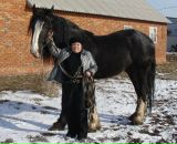 Фотография Гавриш Светланы