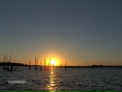 Фотография Соловьевой Инны