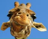 Фотография Борисовой Натальи