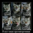 Фотография Бочкаревой Надежды