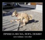 Илья Дербин фотография #6 (источник - https://vk.com/id521537)