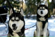 Фотография Разуваевой Анны