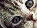 Іра Паращак фотография #2 (источник - https://vk.com/id145051850)