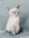 Едік Опришко фотография #30 (источник - https://vk.com/id154541678)