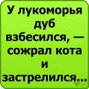 Славік Бобко фотография #7 (источник - https://vk.com/id98813384)