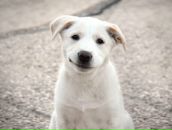 Фотография Куприяновского Романа