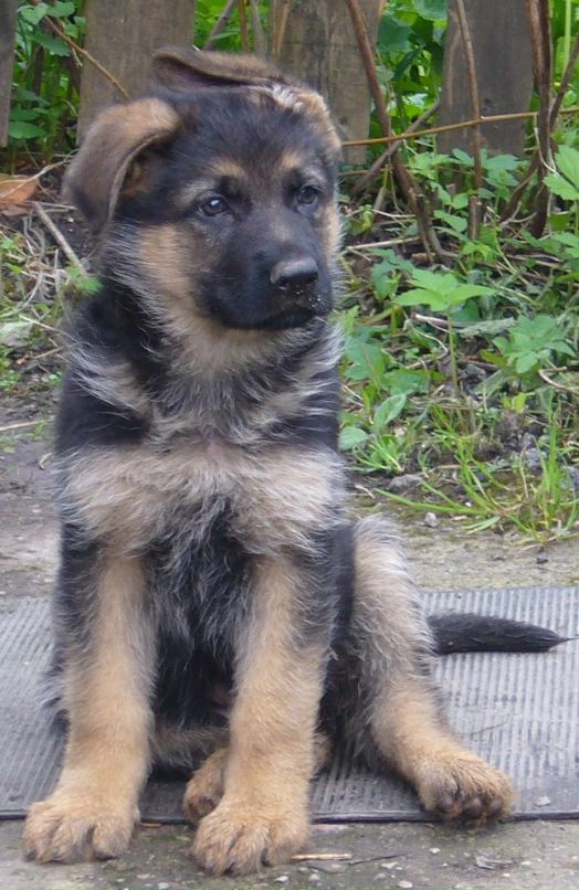 Иван Петров фотография #2