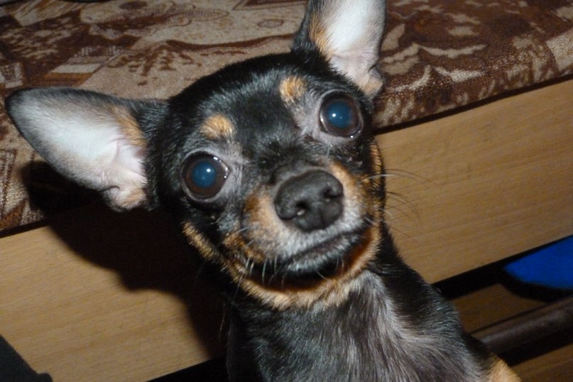 Камила Степанова фотография #23