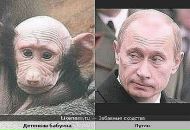 Юрій Смерик фотография #43 (источник - https://vk.com/id13783142)