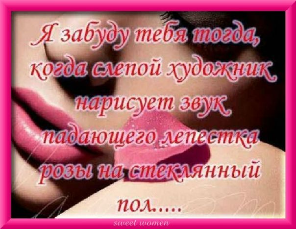 №4, Яна Мамаева №4, Яна Мамаева