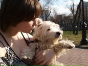 Фотография Green Maxima