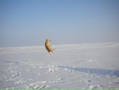 Фотография Мании Надежды