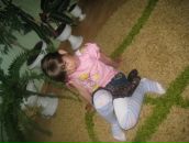 Вікторія Дрофич фотография #7 (источник - https://vk.com/id165978046)