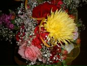 Фотография Морозовой Марины