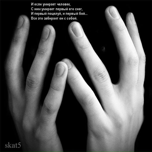 №19, Ирина Свирид, Брест №19, Ирина Свирид, Брест