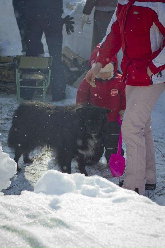 Сергей Мудрук фотография #16