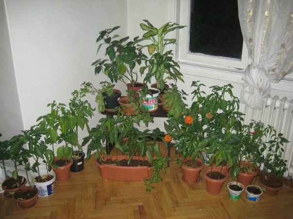 Sandra Celik фото №5