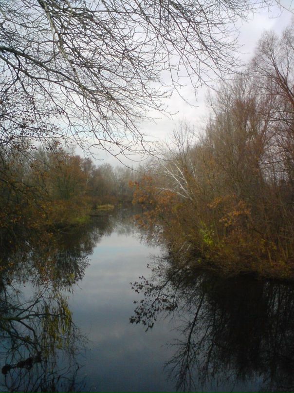 Edward Shulzhenko фотография #30